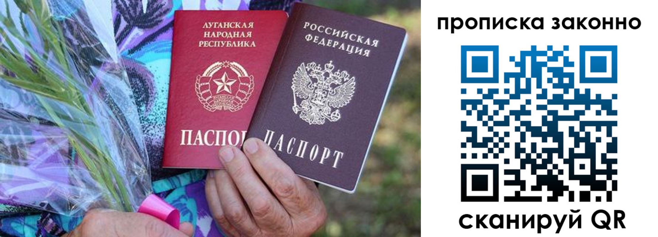 прописка для школы в Волхове